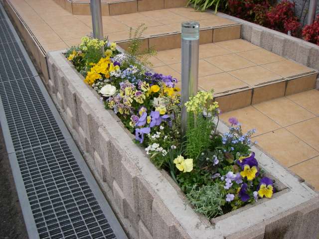 階段脇花壇2012年3月 階段脇花壇2012年3月