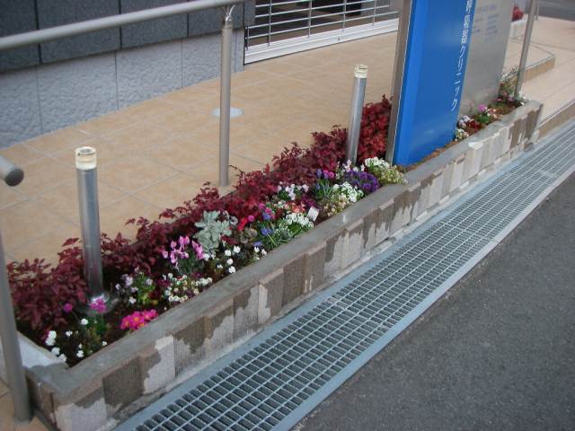 スロープ脇花壇 スロープ脇花壇