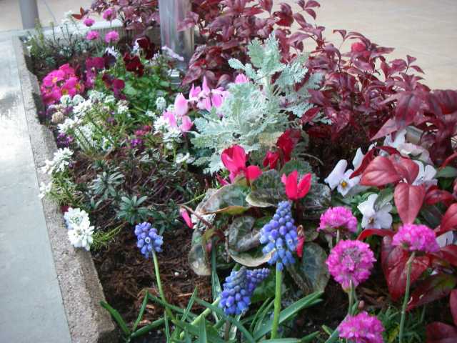 スロープ脇花壇 スロープ脇花壇