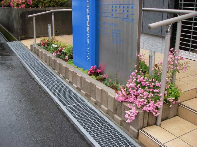 スロープ脇花壇 5月 スロープ脇花壇 5月