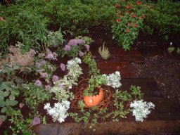 枕木花壇の植栽 枕木花壇の植栽