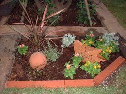 芝の中の植栽 芝の中の植栽