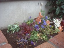 玄関前の花壇 日陰 玄関前の花壇 日陰