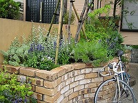 6月の花壇 6月の花壇