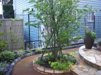 工事に伴う花壇植込み 夏 工事に伴う花壇植込み 夏