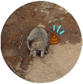 pAȂłB