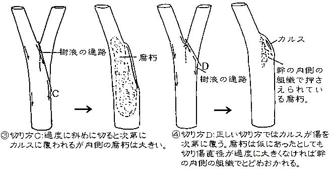 失敗例、成功例　内部の様子