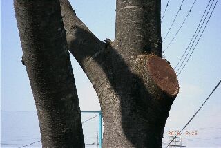 今年の切り口